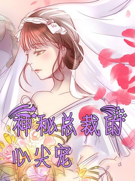 神秘总裁的心尖宠