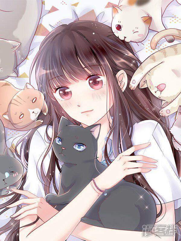 人气同桌是只猫