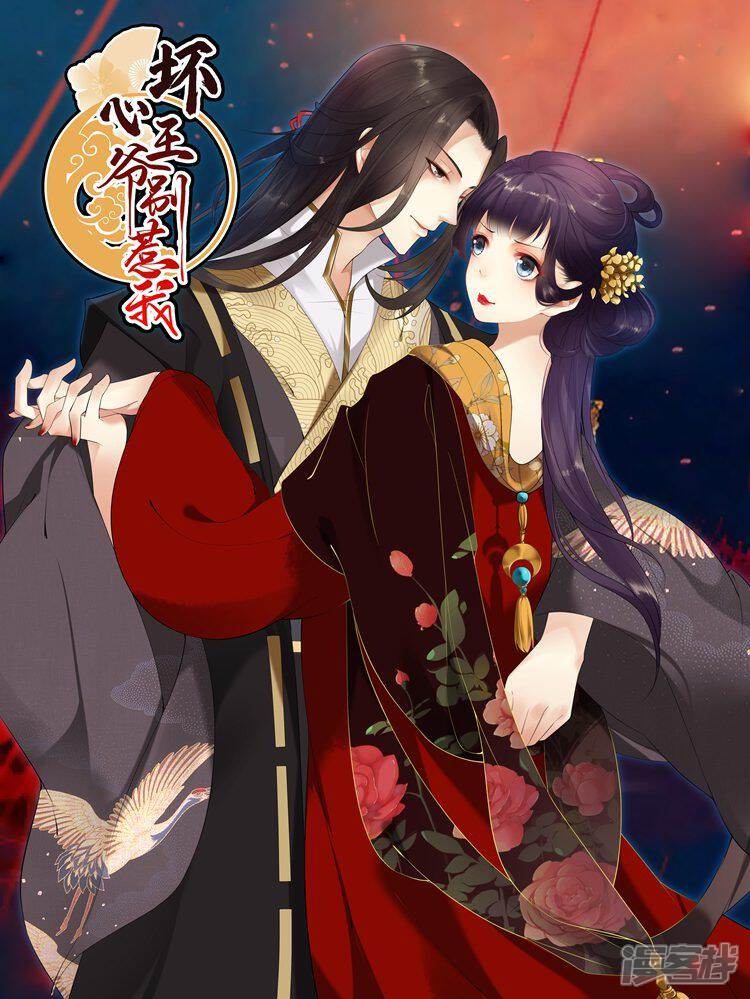 坏心王爷别惹我