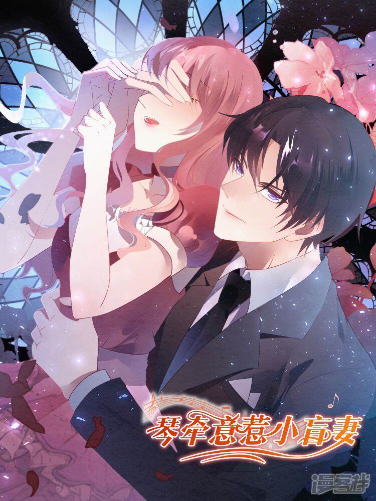 琴牵意惹小盲妻