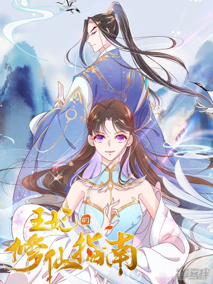 王妃的修仙指南