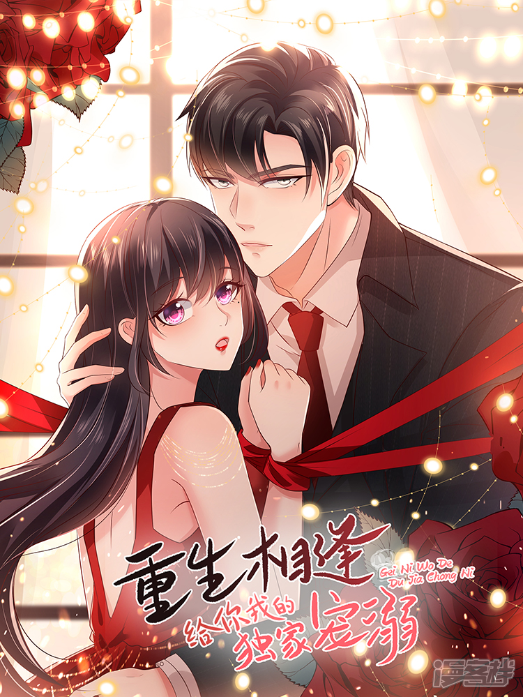 重生相逢给你我的独家宠溺